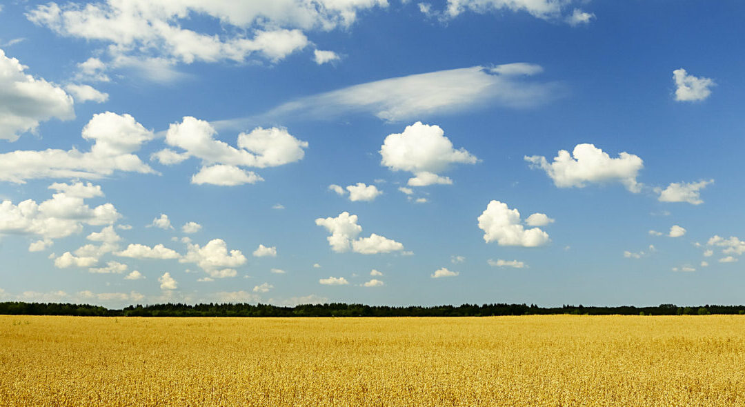 Nextrends: Inovação, mitigação das mudanças climáticas e produtividade no agronegócio