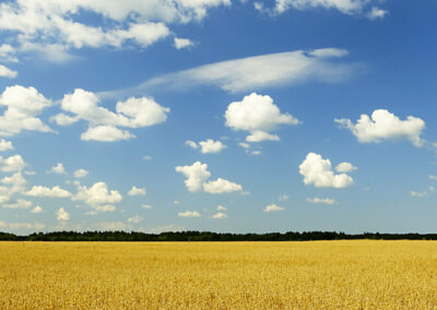 Nextrends: Inovação, mitigação das mudanças climáticas e produtividade no agronegócio